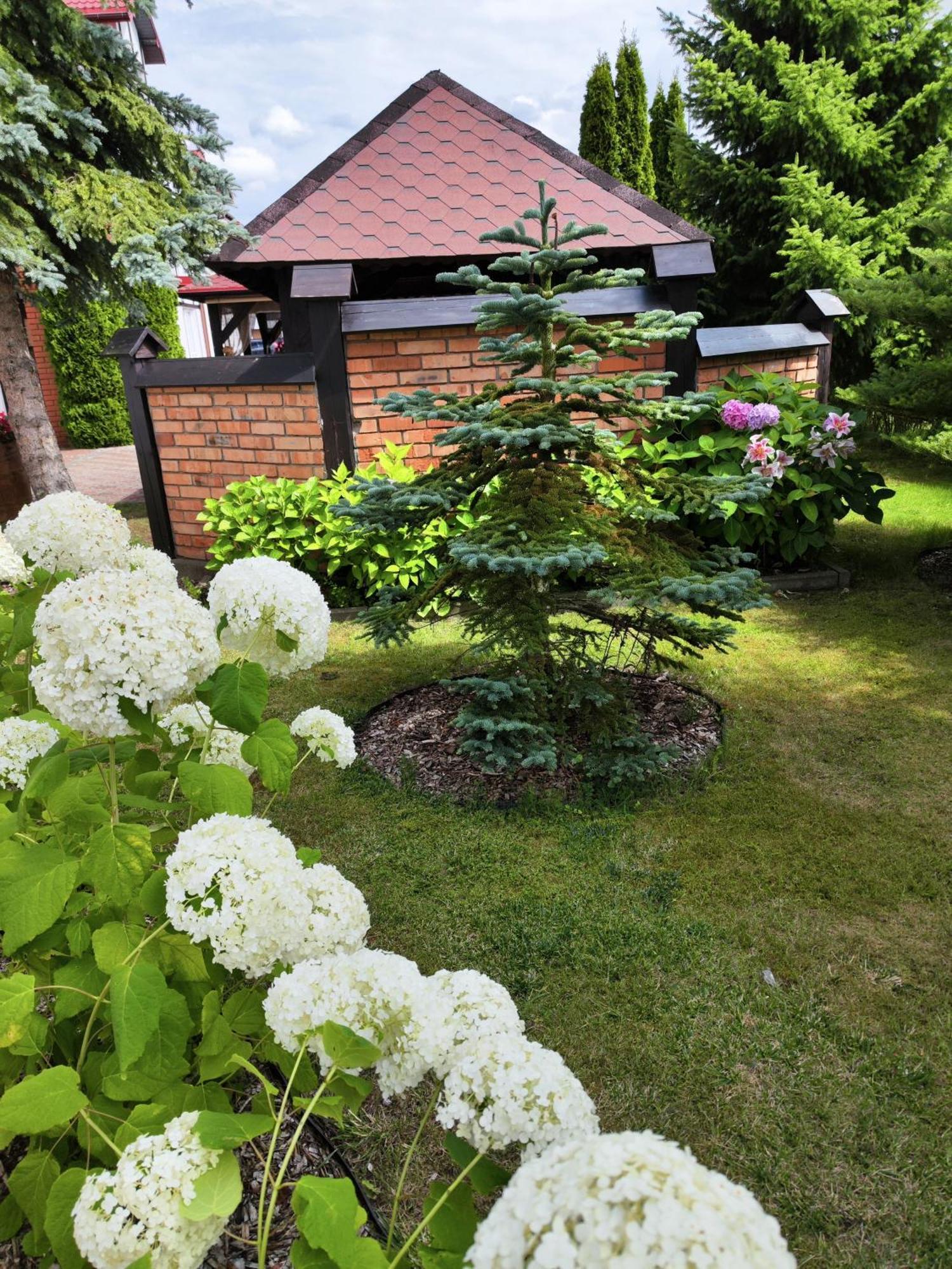 Bed and Breakfast Michalek W Rowach Рови Екстер'єр фото